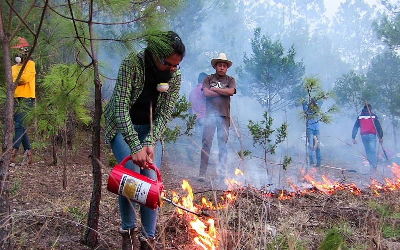 Estudiantes en práctica de campo forestal