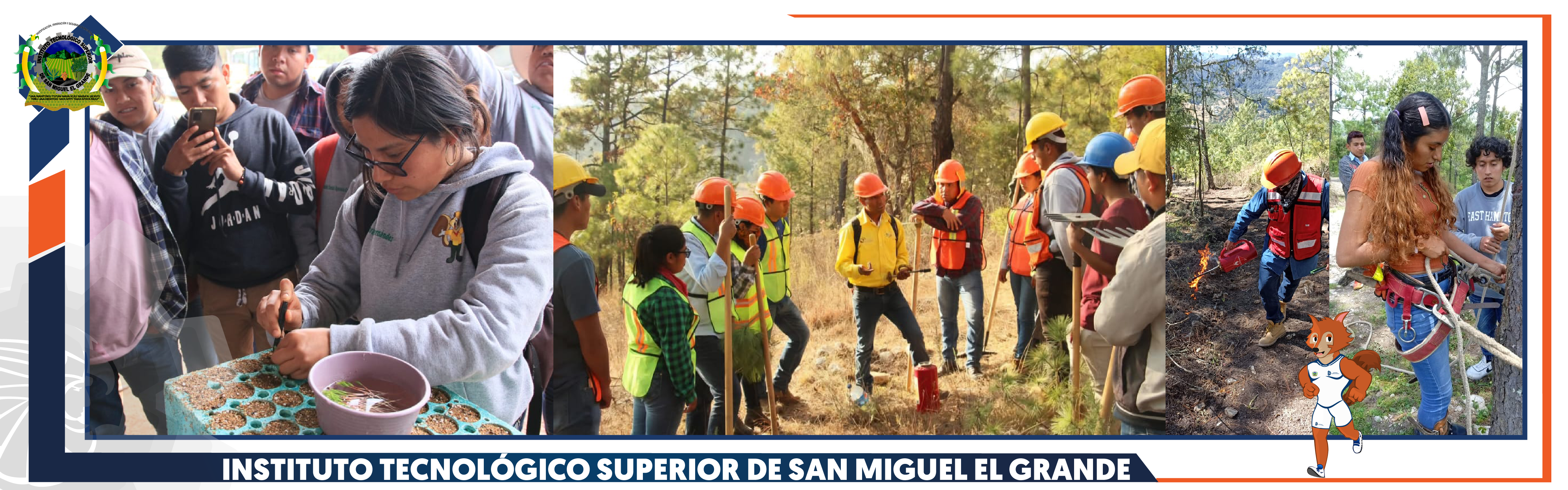 Manejo sustentable de bosques