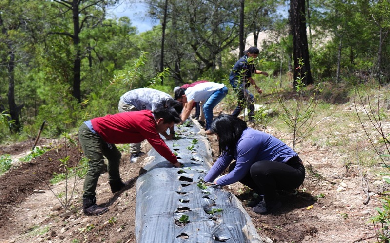 Estudiantes en proyecto comunitario