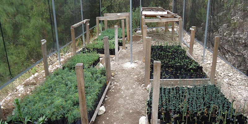 Agricultura de precisión con drones