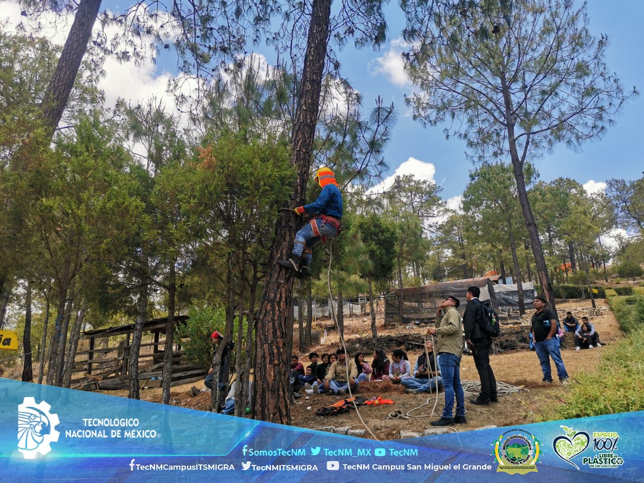 Ingeniería Forestal